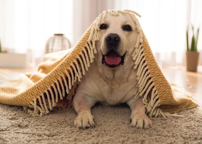 Collarada 3000 * Villanúa